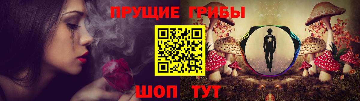 Псилоцибиновые грибы мицелий Люберцы